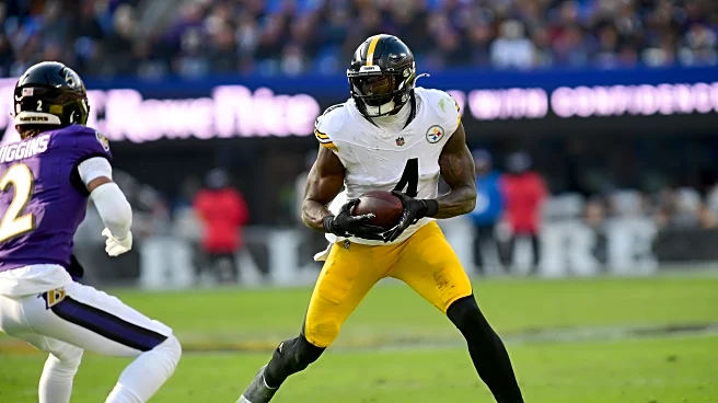 Steelers injury report: DK Metcalf full participant after Sunday scare