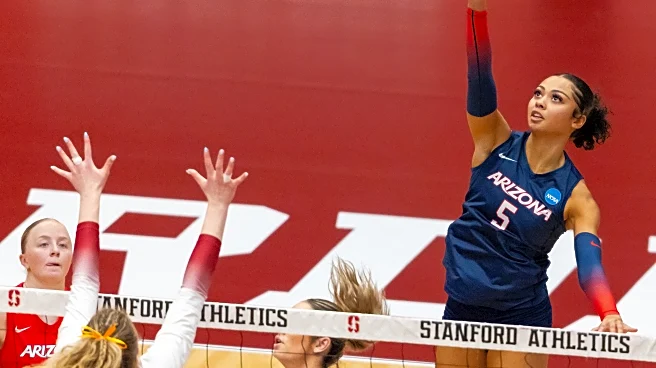 Arizona volleyball notebook: On hires, transfers, portal needs, and AVCA honors