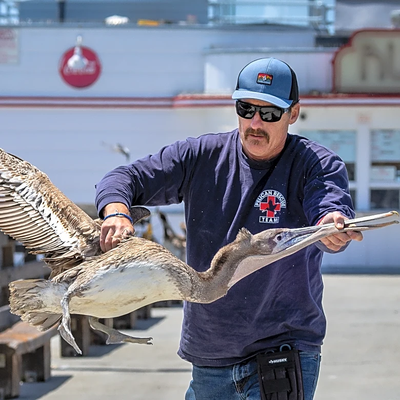 Get Your Blazers-Pelicans Second-Half Discussion Here!