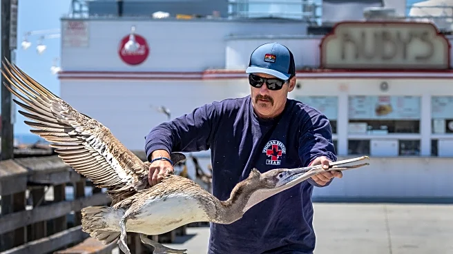 Get Your Blazers-Pelicans Second-Half Discussion Here!
