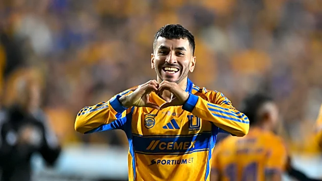 Tigres have one hand on the trophy after they defeated Toluca 1-0 at home in leg one of the Liga MX final