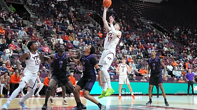 Virginia Tech basketball: Neoklis Avdalas leads Hokies past Western Carolina 96-74