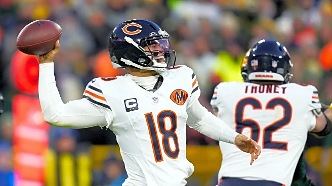 The Bear’s Den, December 12, 2025