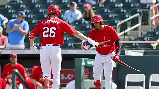 St. Louis Cardinals’ Prospects to Watch for in 2026