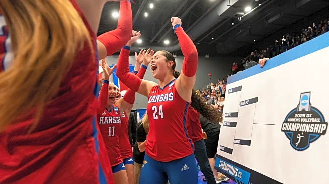 The Daily Mauling: 12/12/25