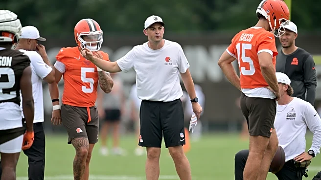 Browns Tommy Rees being persued by another college, could have NFL options