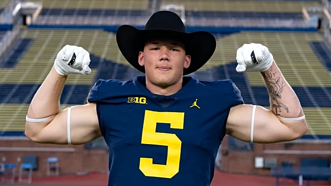 Former Michigan four-star TE Matt Ludwig commits to new school