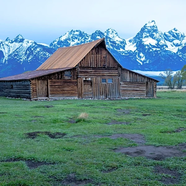 The Link Farm: 12.12.25