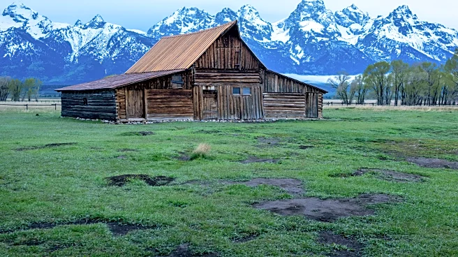 The Link Farm: 12.12.25