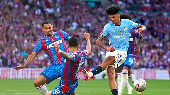 Crystal Palace v Manchester City: The Opposition