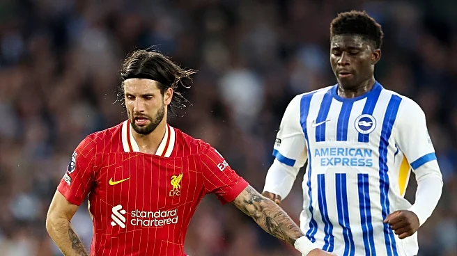 Liverpool vs. Brighton: Premier League 2025-26 Live Coverage & How to Watch