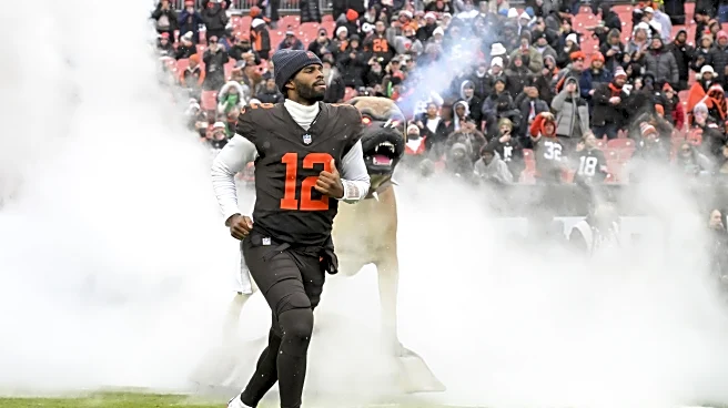 Saturday Dawg Chow (12/13): A dazzling QB review