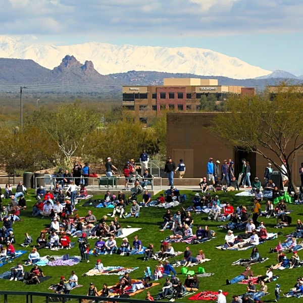 Two Weeks in Purple: Come from Away