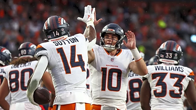 Ultimate Fan: This will be an ultimate test for the Broncos