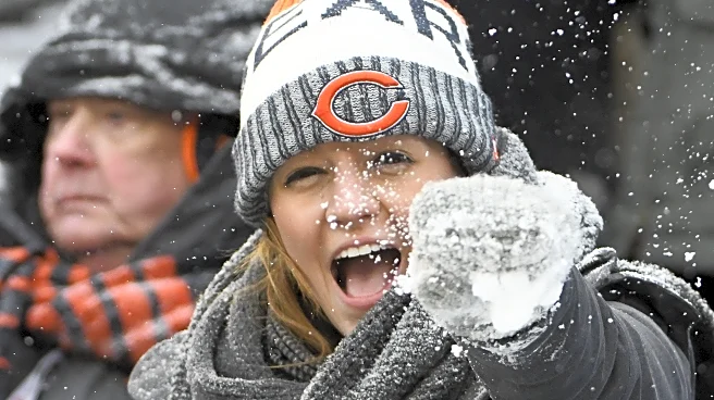Bears vs. Browns: TV schedule, game previews, odds, and more