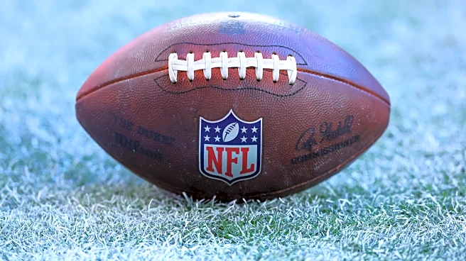 Daily Norseman Staff NFL Picks, Week 15