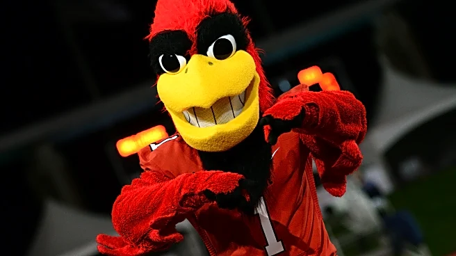 Carson Tyler Commits To Marquette Volleyball