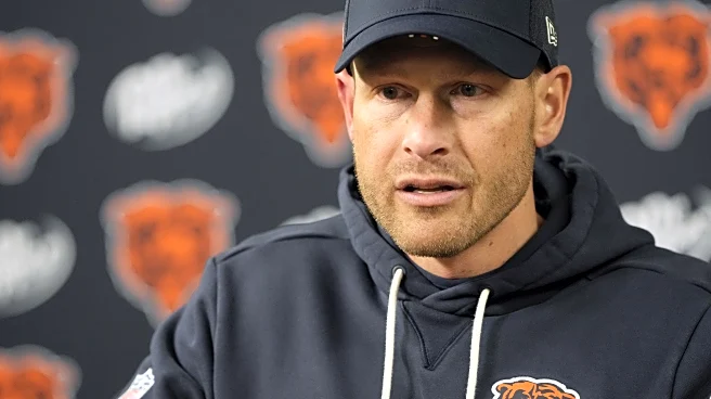 Bears fans still confident the team is heading in the right direction