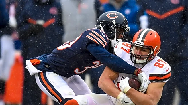 Chicago Bears playoff picture: What does Week 15 vs. Browns mean for NFC standings