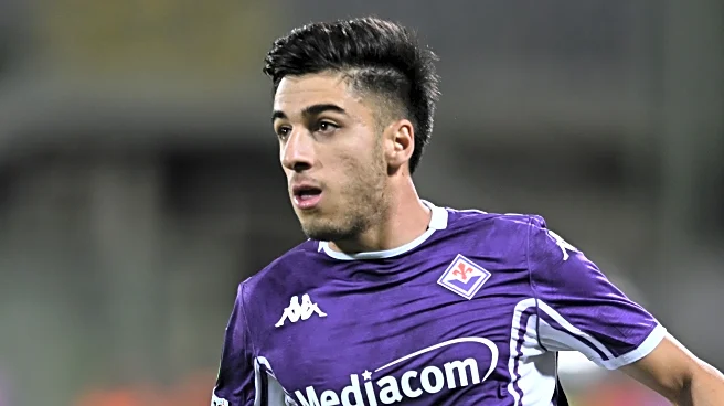 Fiorentina vs Hellas Verona: Lineups and how to watch