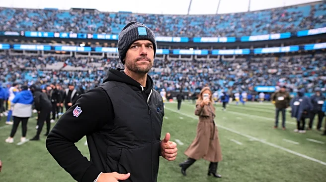 Reacts Results: Playoff hopes building amongst Panthers fans