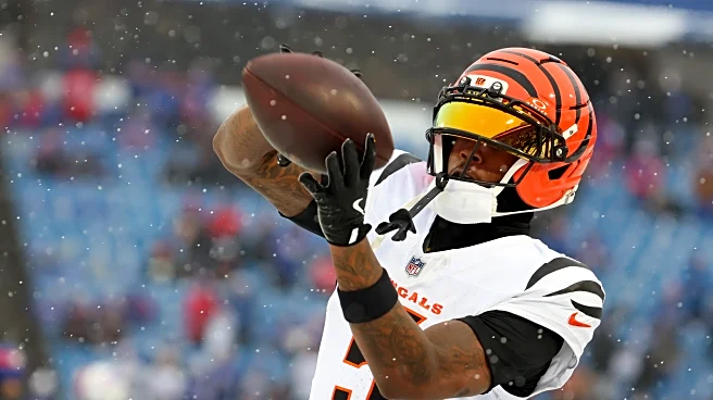 Bengals vs. Ravens Inactives: Tee Higgins, Rashod Bateman out