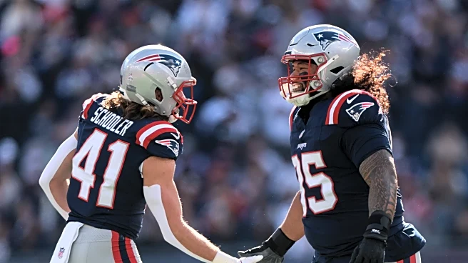 Patriots game day roster: NFL Week 15 vs. Bills