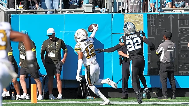 Saints vs. Panthers: Week 15 game discussion