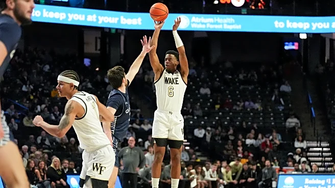 Recap: Myles Colvin Has a Near Perfect Game as Wake Forest Dominates Queens 111-73