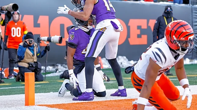 Baltimore Ravens Report Card, Week 15: Dominant defensive outing in shutout win