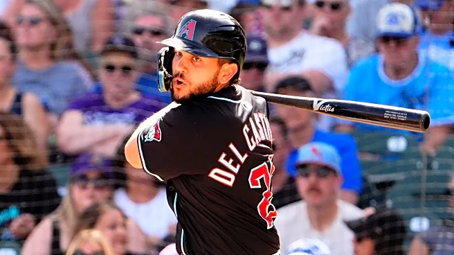 2025 Diamondbacks Player Reviews: #26 Adrian Del Castillo