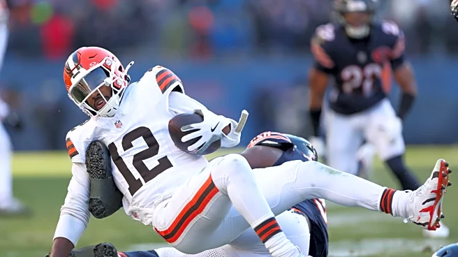 It’s A Bears Win Den! December 15, 2025