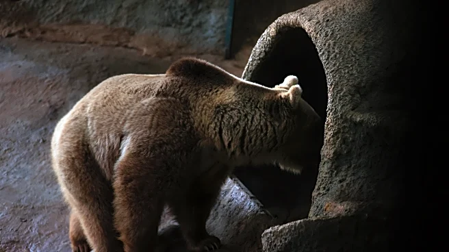 Guardians News and Notes: Hibernation Mode Activate