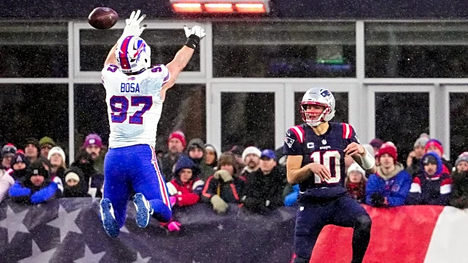 Buffalo Bills at New England Patriots Week 15 snap counts