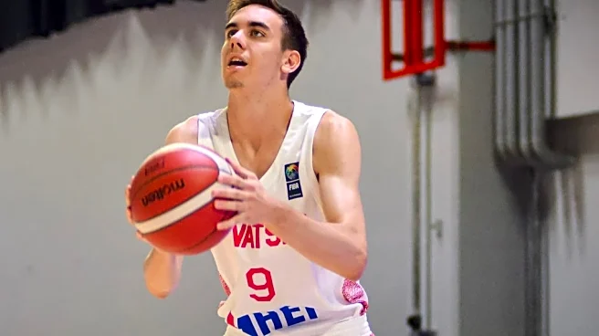 Croatian forward Toni Bilic commits to Illinois