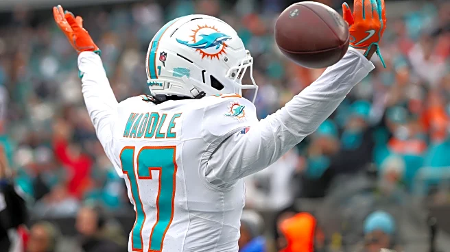 Dolphins fan confidence jumps as team prepares for Steelers games