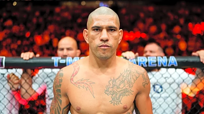 Alex Pereira casts doubt on returning for UFC White House card