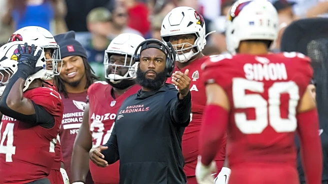 Arizona Cardinals defensive line coach heading back to college football after season