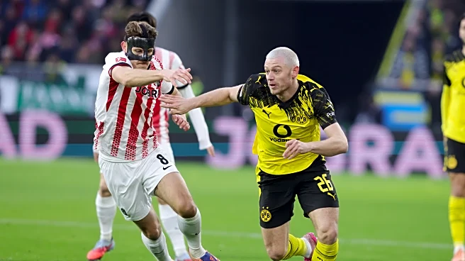 The *Evening* Bee: More Questions than Answers