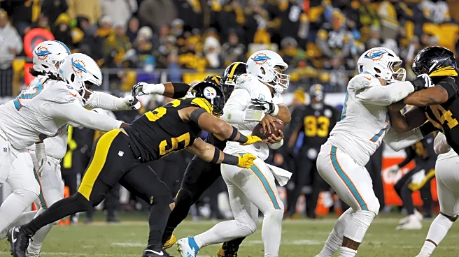 Dolphins vs. Steelers final score: Reactions as Miami gets run out of Pittsburgh