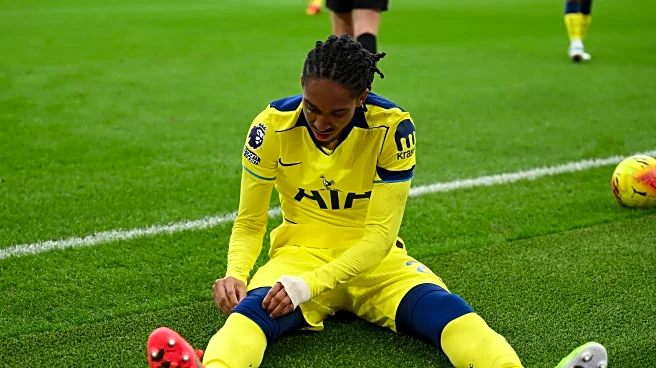 The Hoddle of Coffee: Tottenham Hotspur news and links for Tuesday, December 16