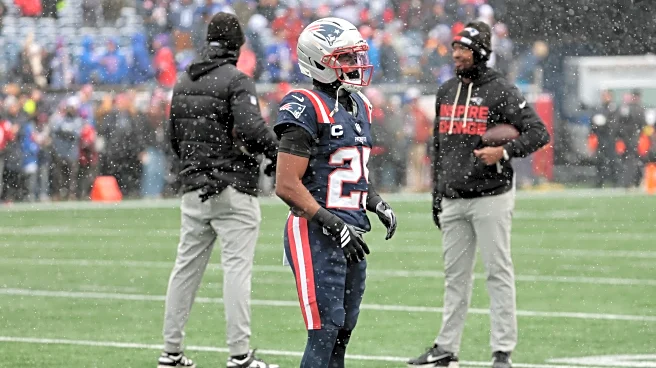 Patriots vs. Bills: Injury analysis from NFL Week 15