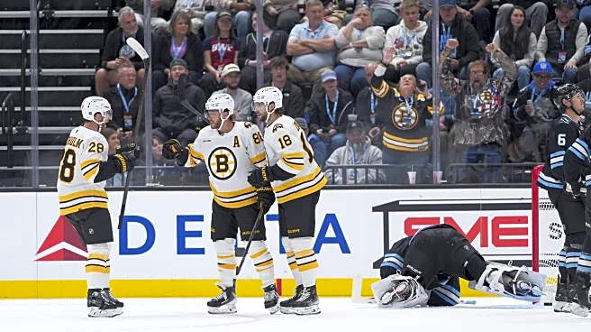 Preview: Bruins return home to face the Mammoth