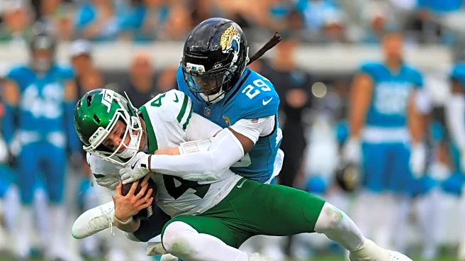 Minnesota Golden Gophers in the NFL: Week 15