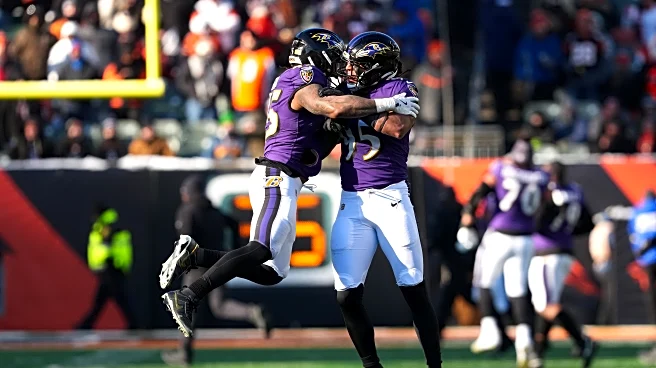 Baltimore Ravens Week 15 Rookie Report