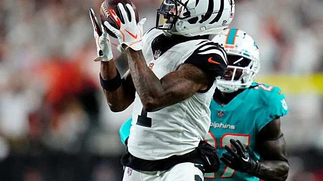 Bengals are road favorites vs. Dolphins