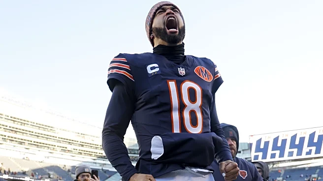 Chicago Bears Question of the Day: Why Not Us?