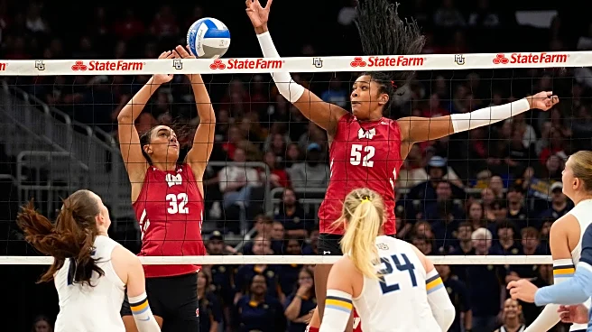 2 Badgers earn All-America honors