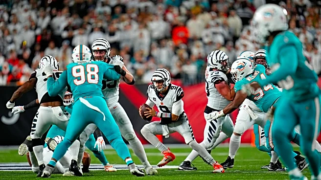 Phinsider Question/Discussion Of The Day: Cincinnati Bengals @ Miami Dolphins Game Day Predictions