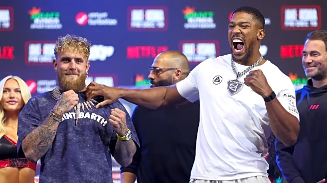 ‘It’s my job’: Anthony Joshua responds to Tyson Fury’s criticism after saying he might ‘kill’ Jake Paul